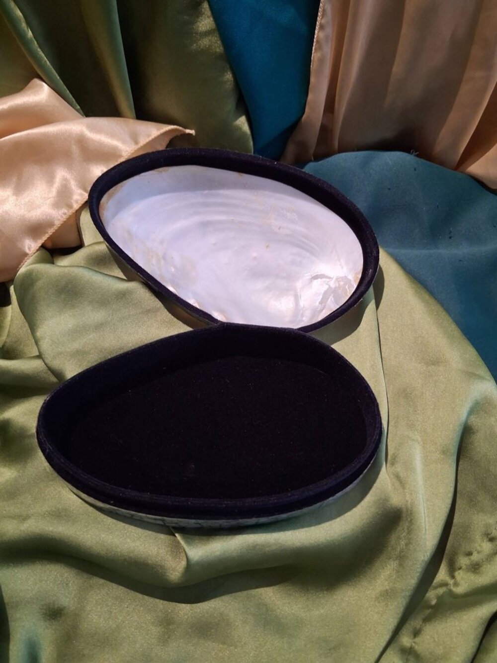 Vintage Mother of Pearl Natural Bivalve Shell Trinket Box Velvet Lined Catch-all
